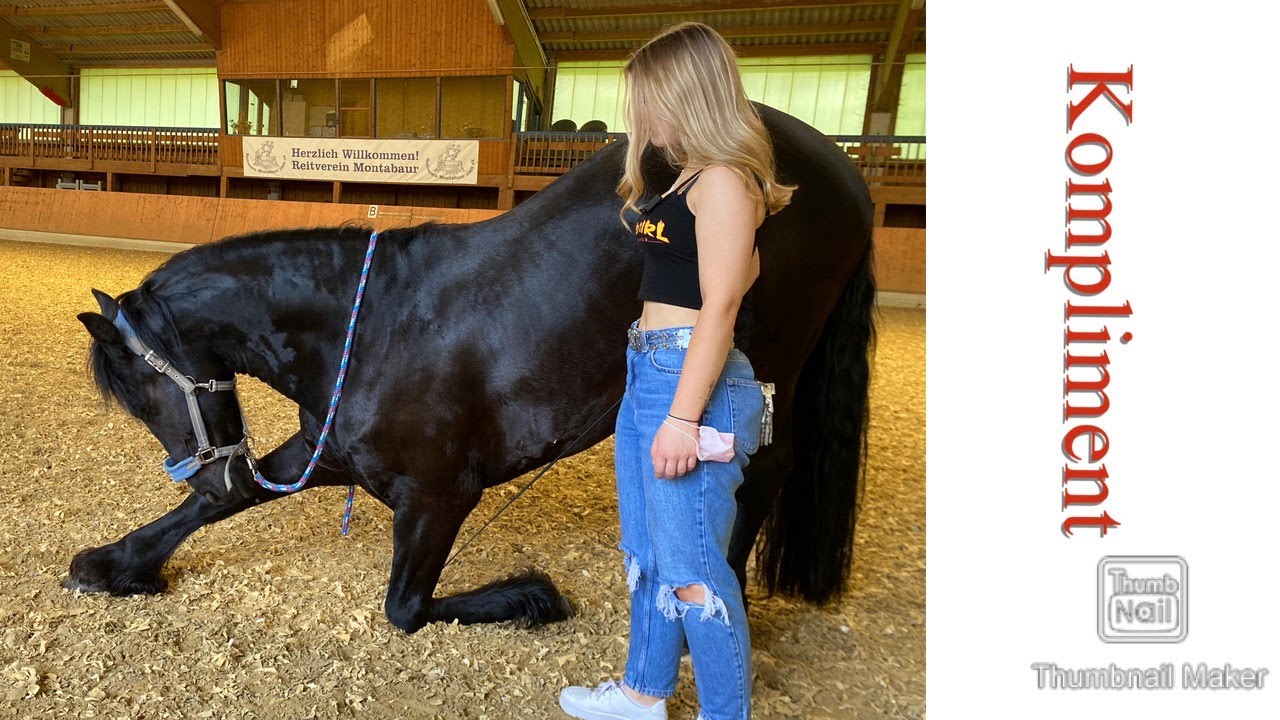 Kompliment I Bodenarbeit Teil 2