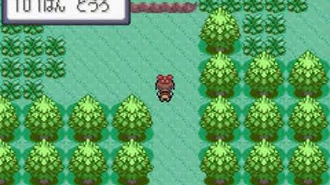 Pokemon Ruby (Japanese) Treecko Solorun Pt#1