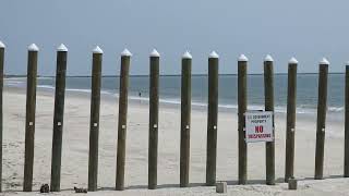 North Florida Surf and Beach Update 11:30 am 7.28.26