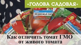 Голова садовая - Как отличить томат ГМО от живого томата