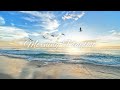 [Playlist] 朝に聴きたいハッピーな洋楽ソング🎧 / モーニング / 作業用bgm / 著作権フリー