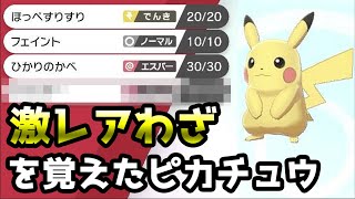 このピカチュウの技構成がヤバイ ポケモン剣盾最新レッドパーティ紹介 Youtube