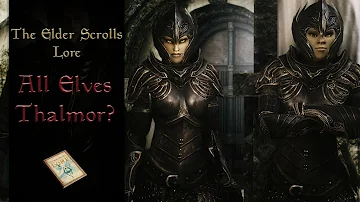 Do some high elves hate the Thalmor?