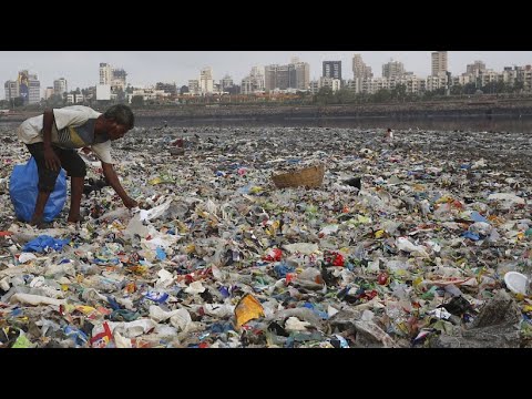 Verschmutzung und Krankheiten in Indien: Wie viel Müll kann ein Land ertragen?