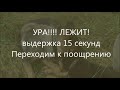 воспитание  щенка (2,5 месяца)