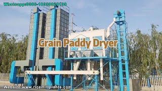Rice Dryer | Paddy Dryer | Rice Mill Dryer for Parboiled Rice Mill - Co-Grain #ricemill #paddydryer