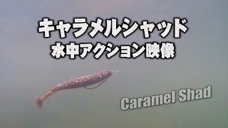 キャラメルシャッド(一誠)の水中アクション映像