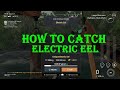 Fishing planet  unique electric eel  how to catch  location 