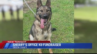 Gibson County community fundraises for K9 joining the sheriff's office