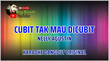 CUBIT TAK MAU DI CUBIT NELLY AGUSTIN || KARAOKE DANGDUT ORIGINAL