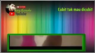 CUBIT TAK MAU DI CUBIT NELLY AGUSTIN || KARAOKE DANGDUT ORIGINAL