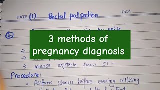Pregnancy Diagnosis in Livestock: Rectal, Milk & NaOH Methods Explained in Hindi/Urdu