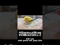 撮影の裏側 behind the scenes of the shoot