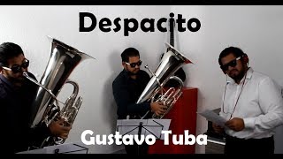 Despacito - Tuba Cover - Luis Fonsi ft. Daddy Yankee [Instrumental]