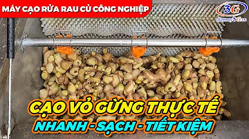 Thực Tế Cạo Rửa Vỏ Gừng Tươi| Máy Cạo Rửa Củ Quả Nông Sản CX60| Điện Máy 3G