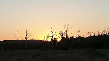 Schoorl aan Zee/Bergen Nh/Zonsondergang in Duin/18 Augustus 2025