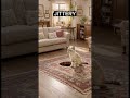 Dog terrified vs Cat Falls in:3D carpet Illusion #cat #pets #illusion #education