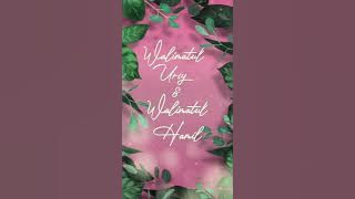 Undangan Walimatul Ursy & Walimatul Hamil