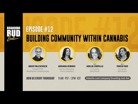 Building Community Within Cannabis - Branding Bud Live Episode 12