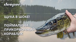 картинка: Разведка боем: Ищем щуку с помощью Deeper CHIRP+2 с корабликом Boatman и сразу ловим!