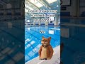who can relate #funny #swimmer #memes #set #swim