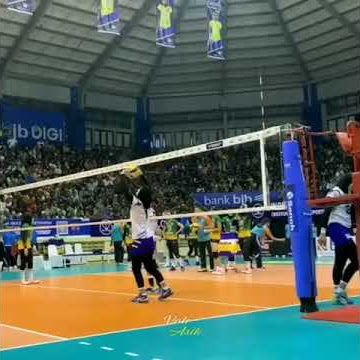 Story WA Volly Cewek Keren!!!!