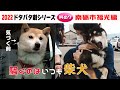 2022狂犬病予防注射会場のドタバタ劇・其の7 南砺市福光編