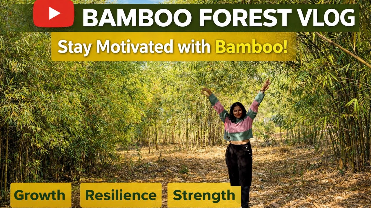 ಅರಣ್ಯದ ಮಧ್ಯೆ, ನನ್ನನ್ನೇ ಕಂಡುಕೊಂಡೆ 🌿✨ Healing era activated 🌿✨Bamboo forest diaries 💚