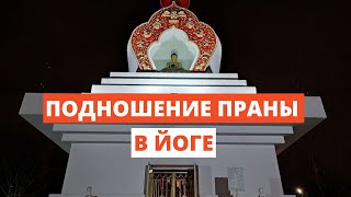 Праническая Помощь в Йоге! Подношение Праны. Почитание Предков. Алекс Вира.