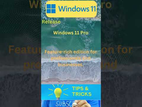 Windows 11 Professional
