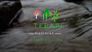 Masteran dan terapi ampuh lovebird balibu