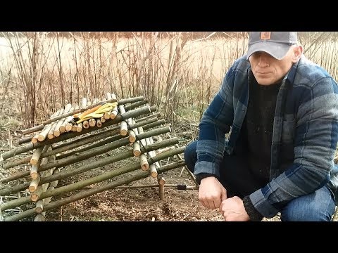 Wideo: Jajo bażanta: przydatne właściwości i zdjęcia