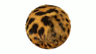 'Furball test'