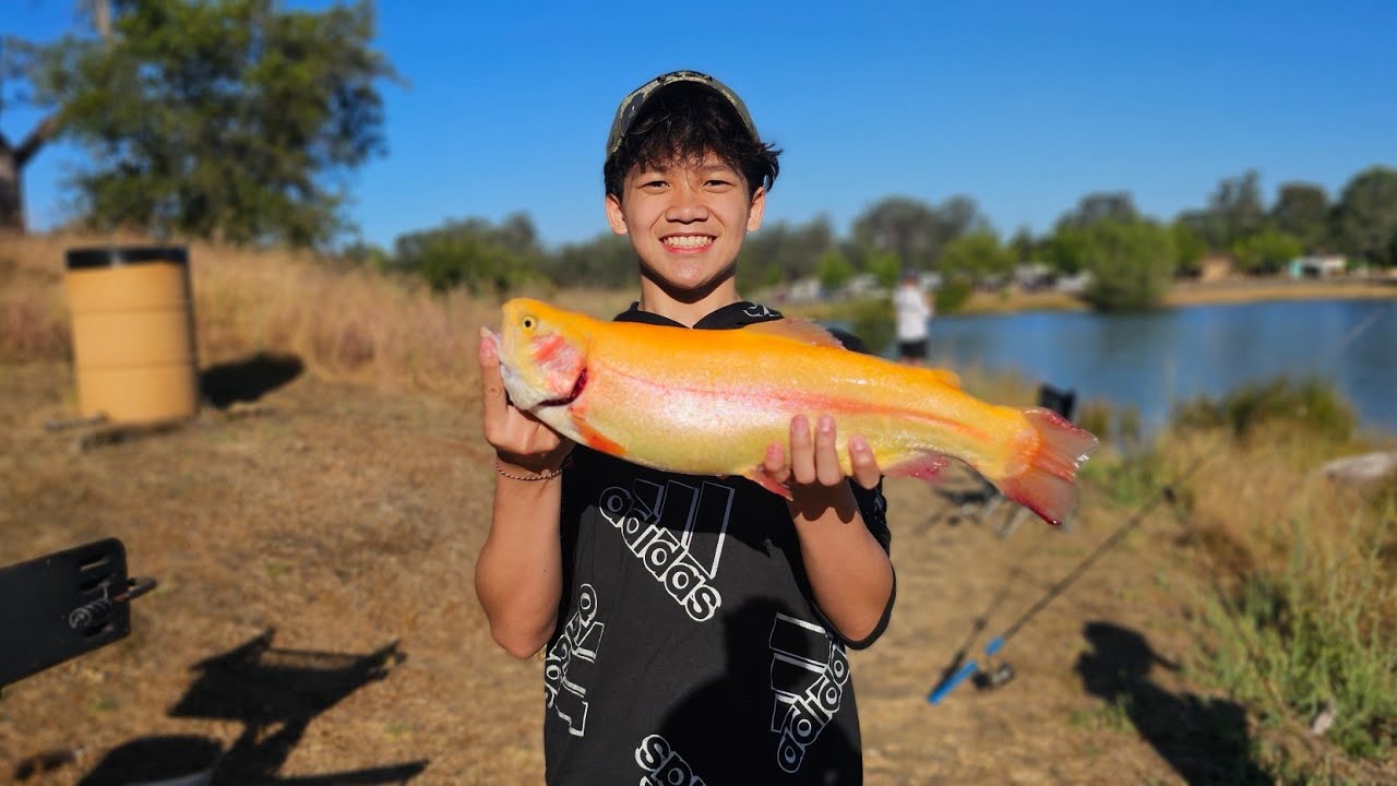Lake Pardee Lightning Trout 🎣 Actions With The Boys 