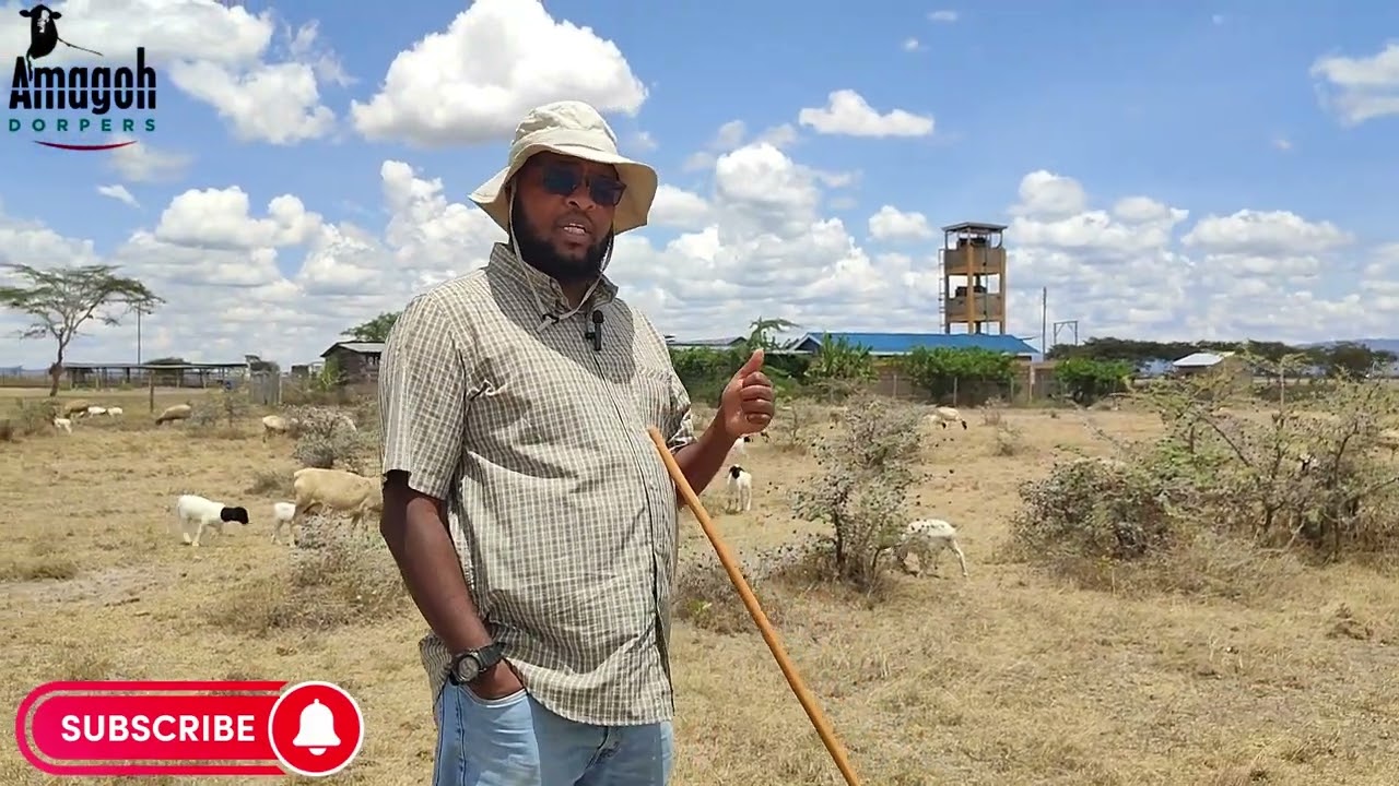 Record Keeping : What can be Tracked can be Measured