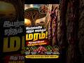 🔥 இந்த மரத்தை கீறினால் ரத்தம் வருகிறது? உண்மை என்ன? #vgarivuthuli