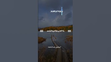 #القارئ محمد صديق المنشاوي