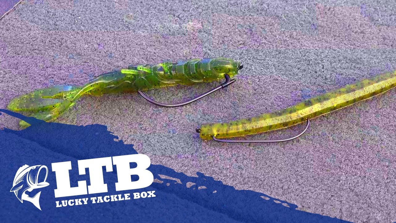 Best Hook for Fishing Plastic Worms 