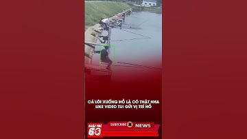 Câu trúng cá khủng thanh niên lao thẳng xuống hồ #tintuc #giaitri #shorts