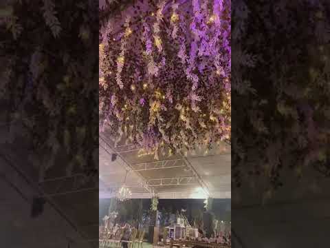 المكان بانوراما أكتوبر امام عبارات العبور صلاح سالم قاعه الأوركيد  