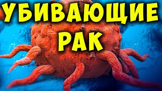 Рак Умирает, когда вы Едите эти 15 продуктов! Продукты Против Рака screenshot 3