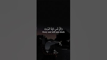 اكتب شيئ تؤجر عليه 🖤 #قرآن #تلاوة