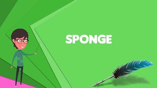 What is Sponge? Explain Sponge, Define Sponge, Meaning of Sponge