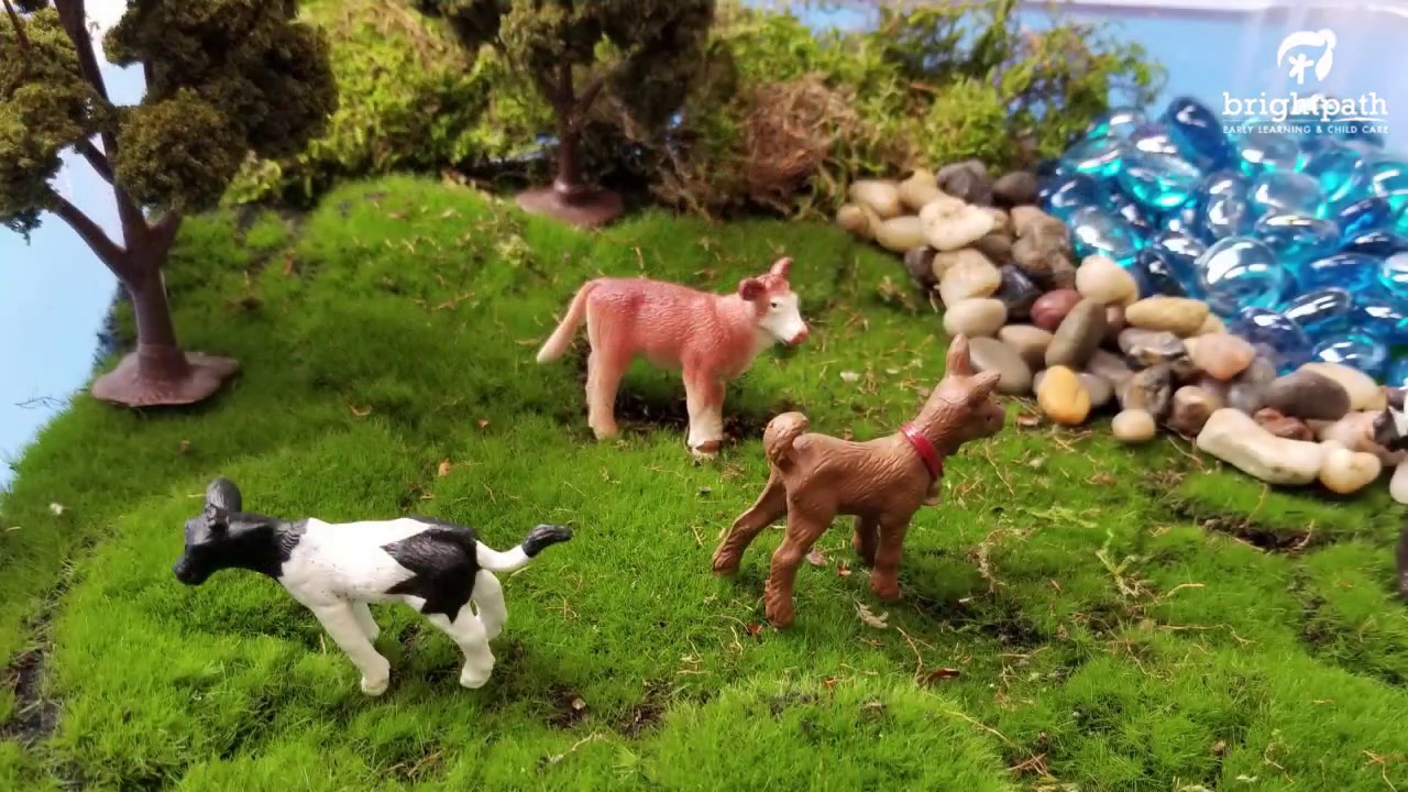 Animal Sensory Craft for Kids