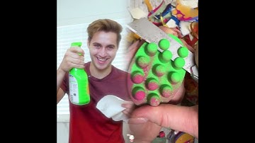 Why The 5 Second Rule Exists…