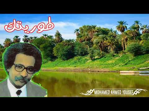 طوريتك مصطفى سيد احمد