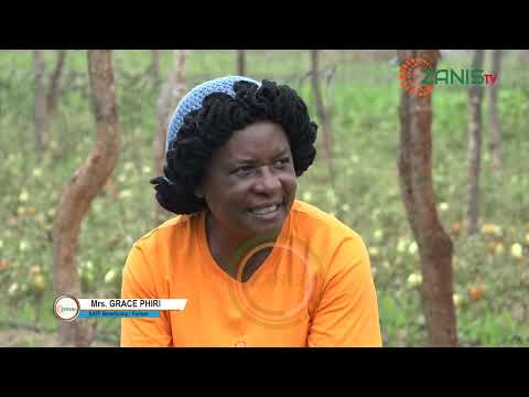 INSIDE AGRICULTURE  SAFF LOAN