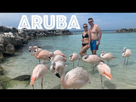 Video: Cele mai bune plaje din Aruba