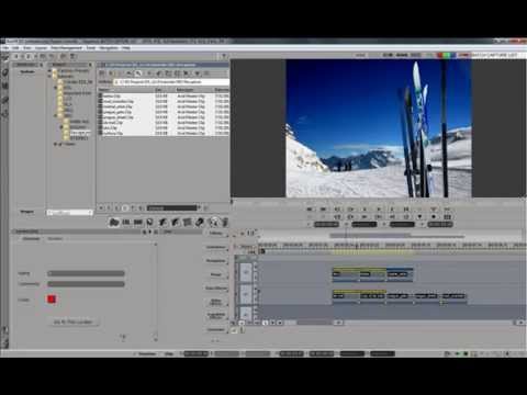 Avid DS Capture Link List
