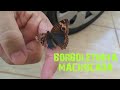 BORBOLETINHA MACHUCADA
